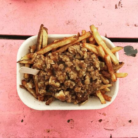 NEWFIE FRIES